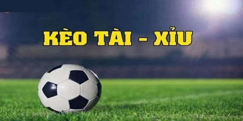 Hướng Dẫn Chơi Kèo Tài Xỉu Hiệu Quả Cho Người Mới 2 Phân tích cụ thể cách thức hoạt động của kèo Tài Xỉu trong cá cược