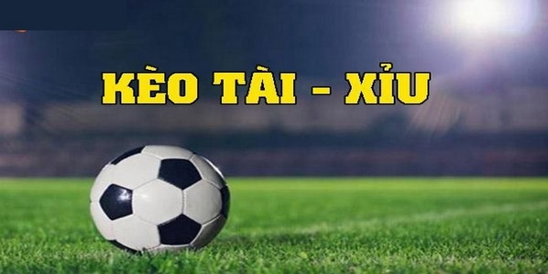 Mẹo đặt cược tài xỉu luôn thắng từ cao thủ